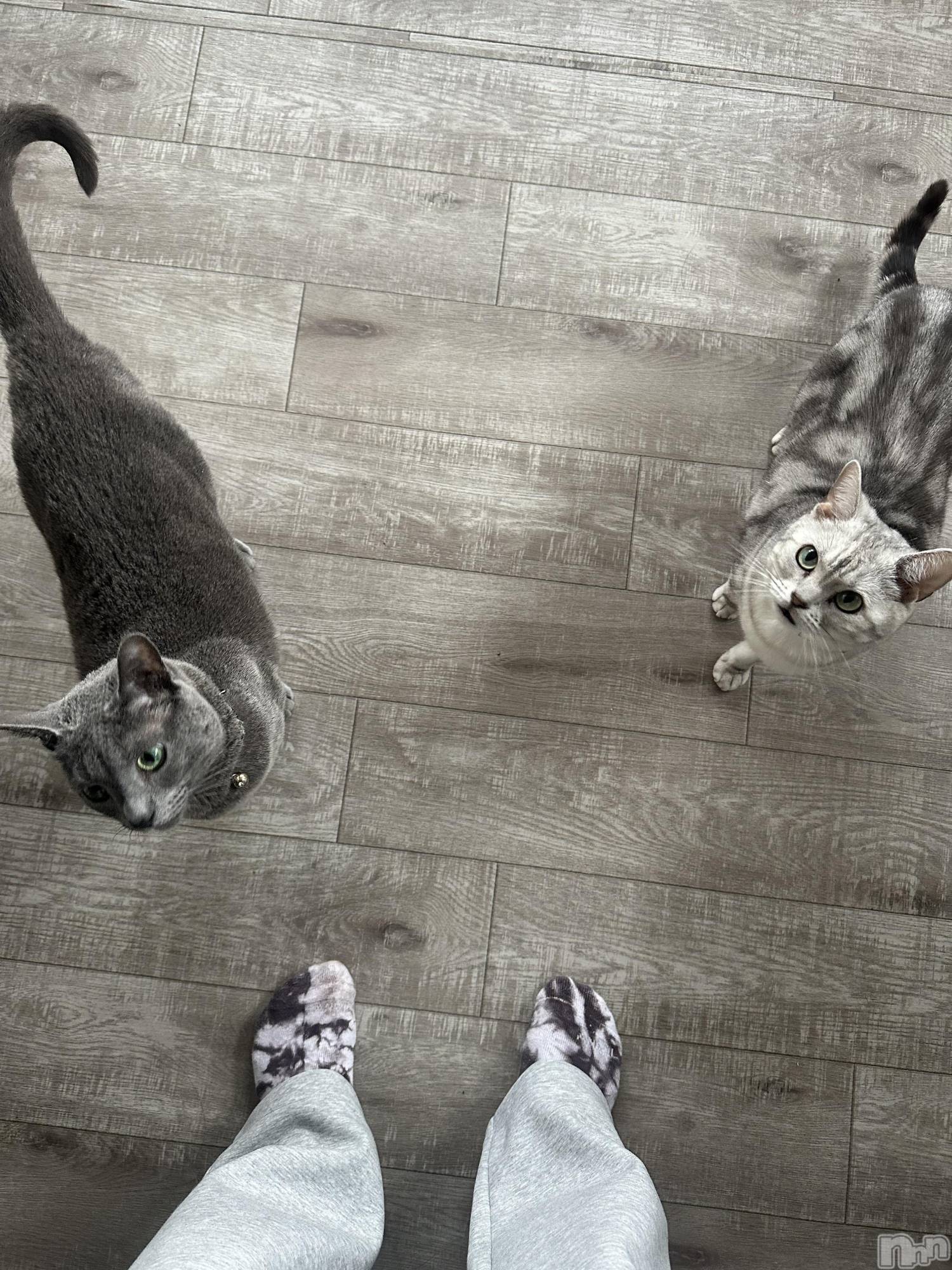 �����������������åȥС�Cafe&Bar Roots �롼��(���ե�����ɥС� �롼��) ��2025ǯ5��6���̥�֥����֤ˤ��🐈��