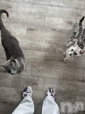 �����������������åȥС�Cafe&Bar Roots �롼��(���ե�����ɥС� �롼��) �ˤ�����(22)��5��6���̥�֥����֤ˤ��🐈��