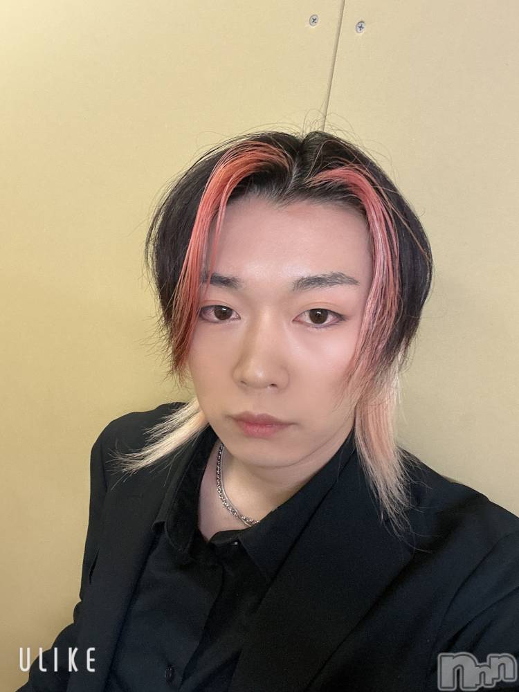 ��Į�ۥ��ȡ��ܡ������С�A151(�����������ݥ���) ������ߺ��3��31���̥�֥�����������