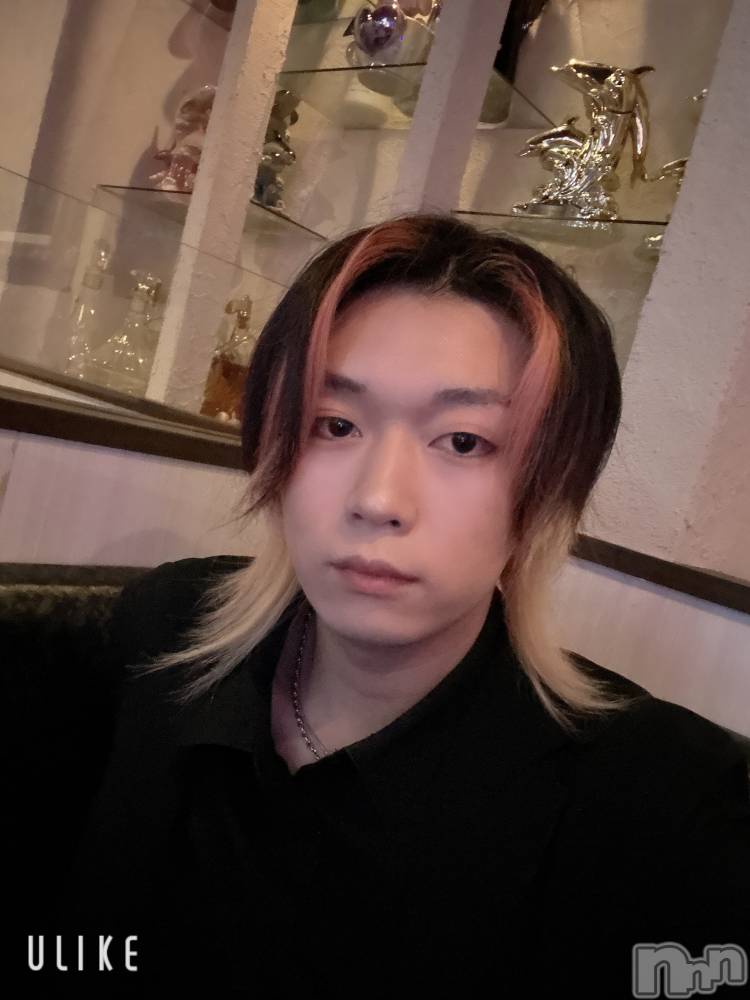 ��Į�ۥ��ȡ��ܡ������С�A151(�����������ݥ���) ������ߺ��4��17���̥�֥����֤���Ф�ޤ���