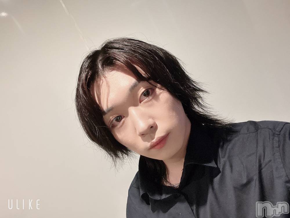 ��Į�ۥ��ȡ��ܡ������С�A151(�����������ݥ���) ������ߺ��5��26���̥�֥����֤⤦�����������