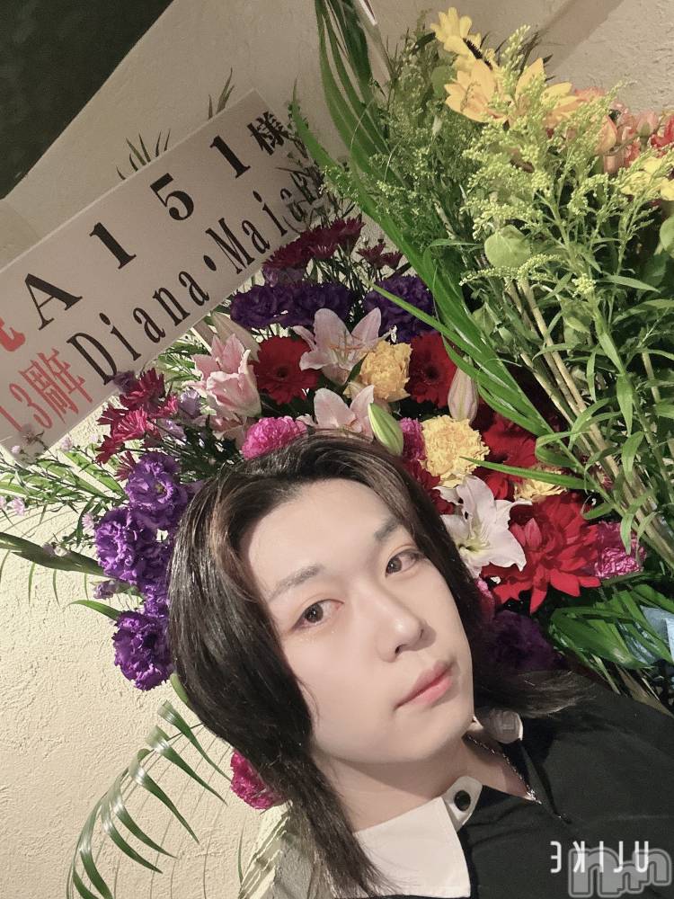 ��Į�ۥ��ȡ��ܡ������С�A151(�����������ݥ���) ������ߺ��6��14���̥�֥����ּ�ǯ��2���ܡ���