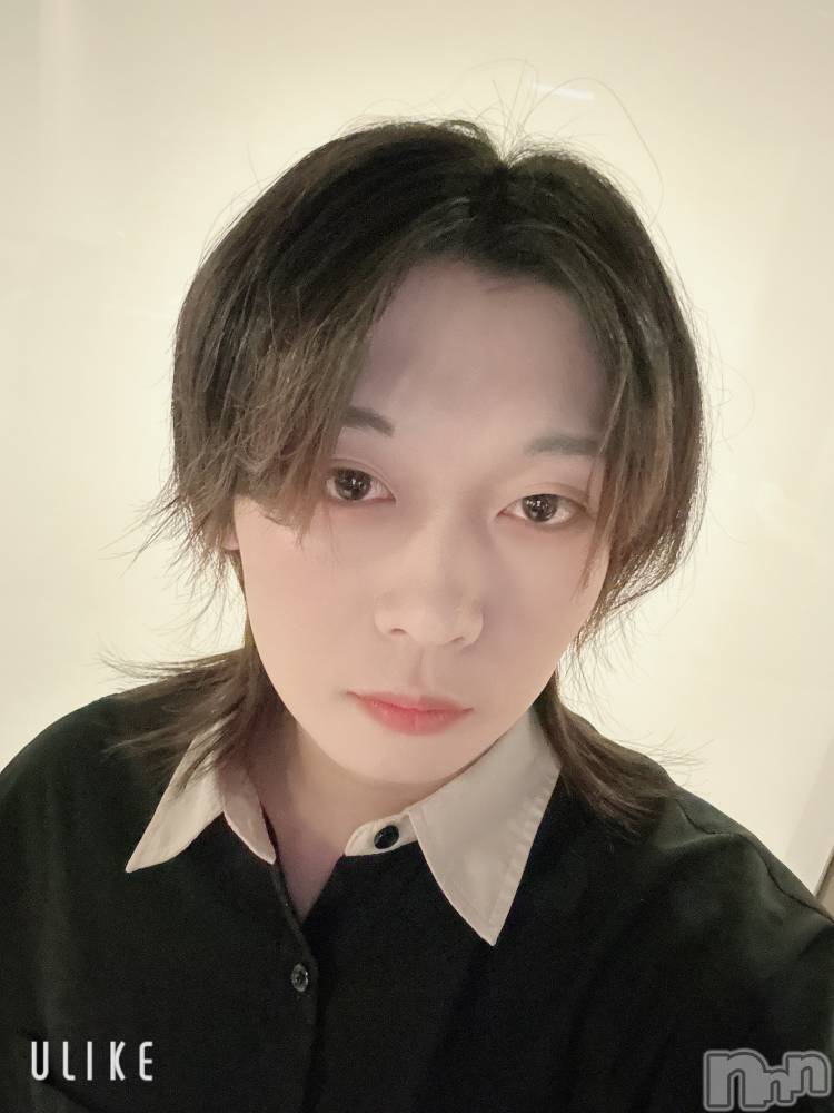 ��Į�ۥ��ȡ��ܡ������С�A151(�����������ݥ���) ������ߺ��11��7���̥�֥����ֿ��ߤν���