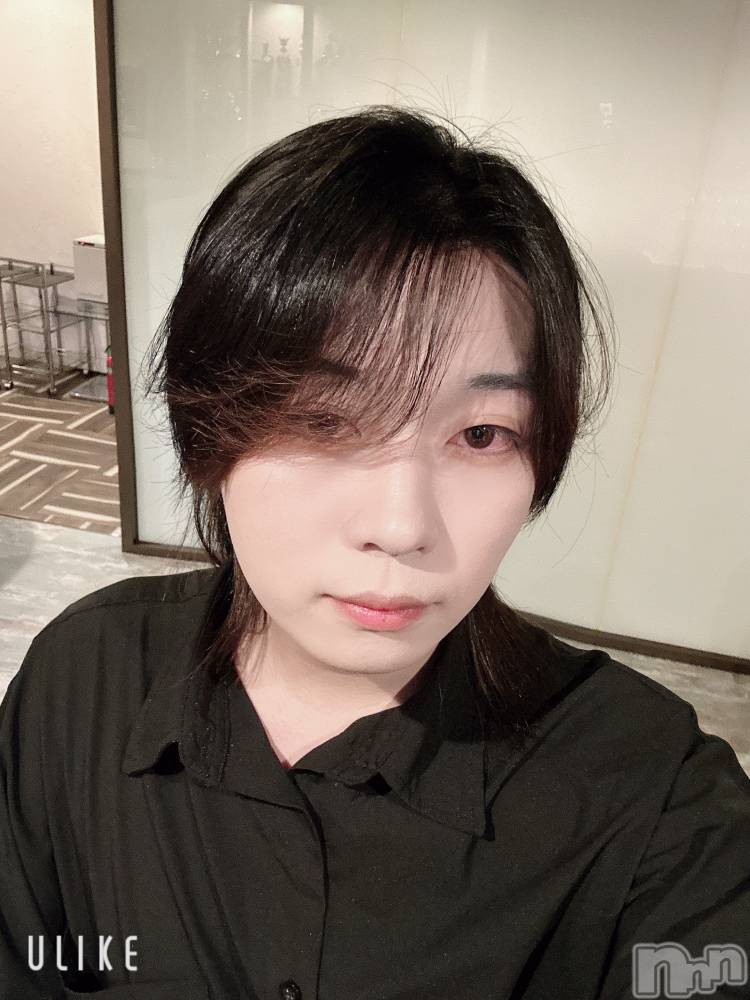 ��Į�ۥ��ȡ��ܡ������С�A151(�����������ݥ���) ������ߺ��11��28���̥�֥����֤⤦����������