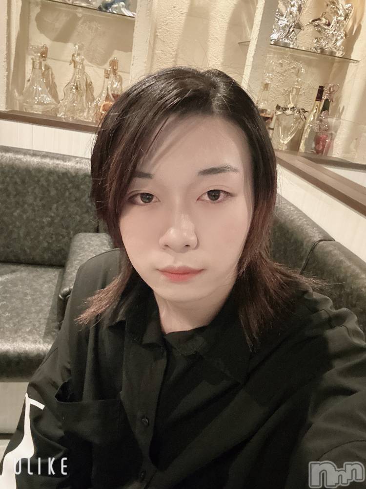 ��Į�ۥ��ȡ��ܡ������С�A151(�����������ݥ���) ������ߺ��12��10���̥�֥����֤��Ǥ���̣������