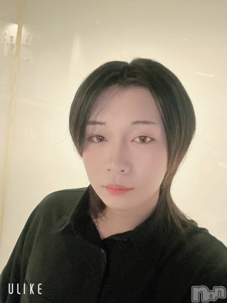 ��Į�ۥ��ȡ��ܡ������С�A151(�����������ݥ���) ������ߺ��2��8���̥�֥����֤椭��С�