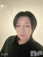 ��Į�ۥ��ȡ��ܡ������С�A151(�����������ݥ���) ������ߺ(20)��2��8���̥�֥����֤椭��С�