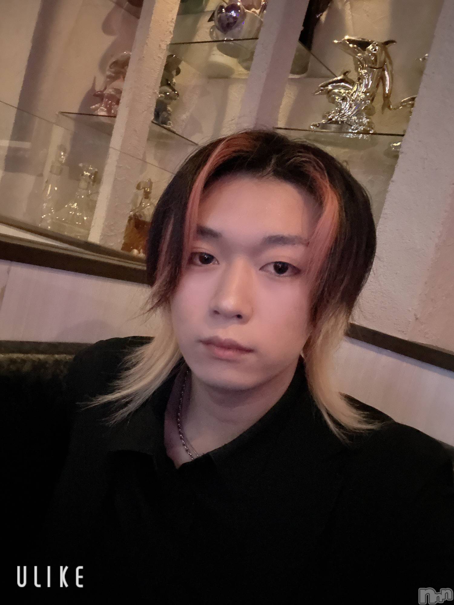 ��Į�ۥ��ȡ��ܡ������С�A151(�����������ݥ���) ��2025ǯ4��17���̥�֥����֤���Ф�ޤ���