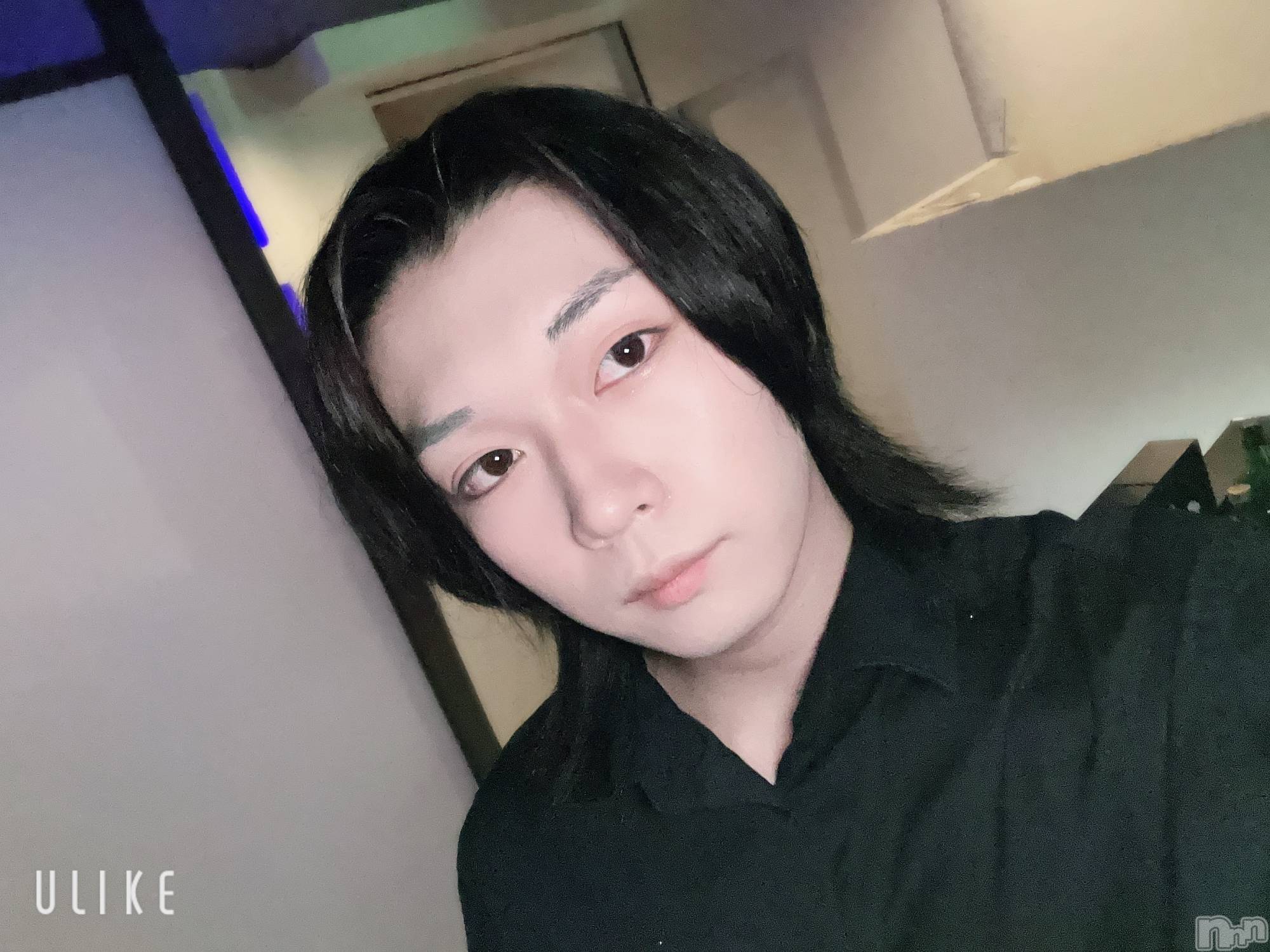 ��Į�ۥ��ȡ��ܡ������С�A151(�����������ݥ���) ��2025ǯ5��21���̥�֥����֤��Ĥ�����