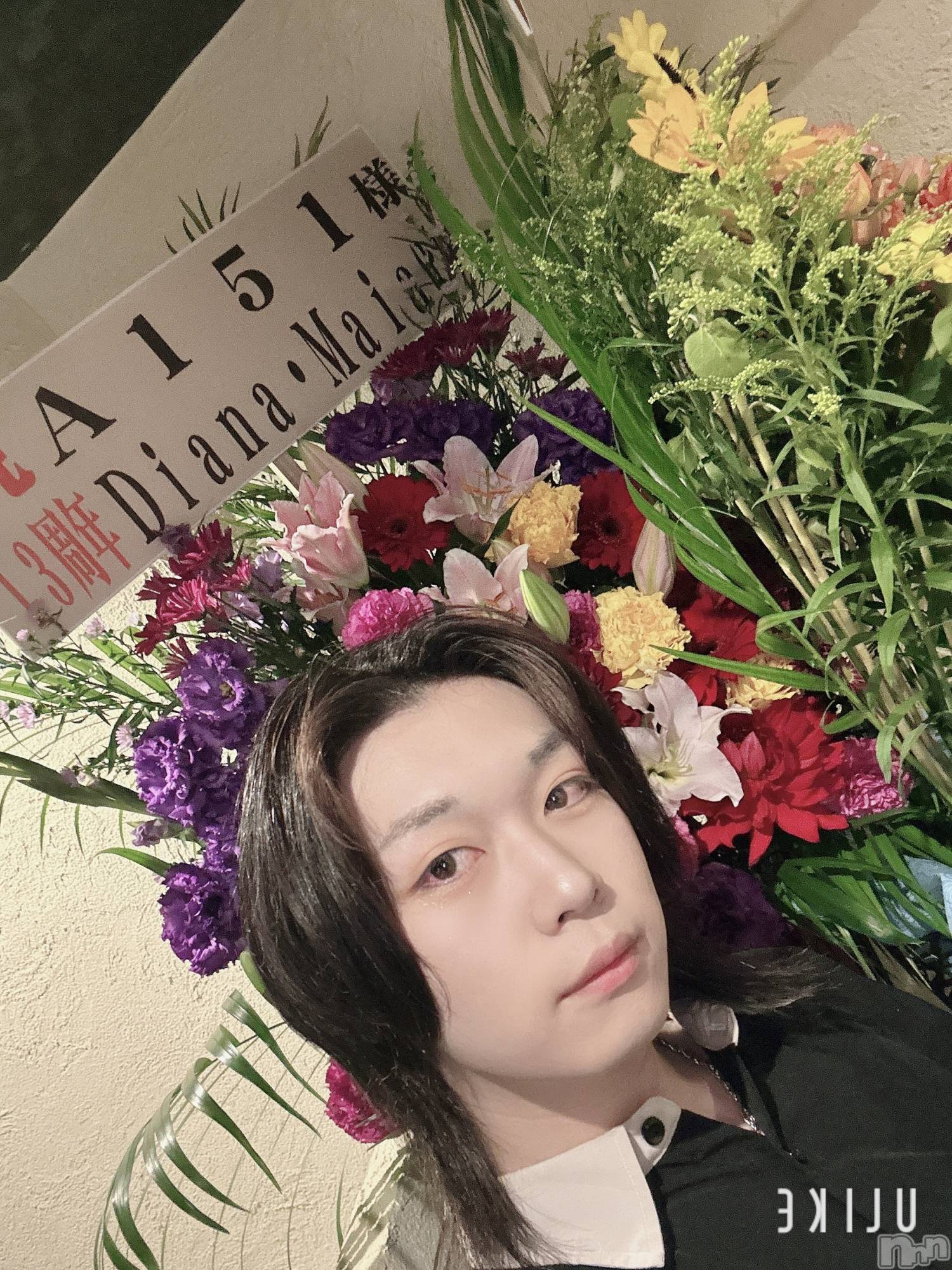 ��Į�ۥ��ȡ��ܡ������С�A151(�����������ݥ���) ��2025ǯ6��14���̥�֥����ּ�ǯ��2���ܡ���