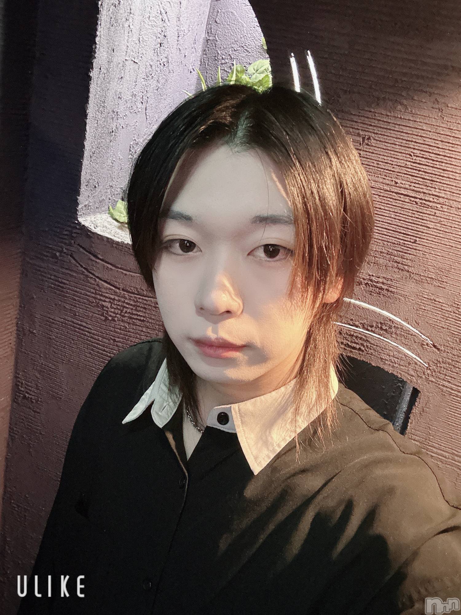 ��Į�ۥ��ȡ��ܡ������С�A151(�����������ݥ���) ��2025ǯ11��15���̥�֥����֤����̲����