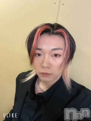 ��Į�ۥ��ȡ��ܡ������С�A151(�����������ݥ���) ������ߺ(20)��3��31���̥�֥�����������