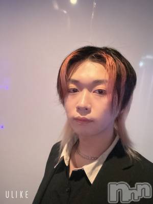 ��Į�ۥ��ȡ��ܡ������С�A151(�����������ݥ���) ������ߺ(20)��4��19���̥�֥����ֺ������ĥ��ޤ���