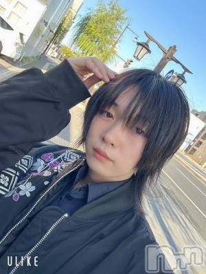 ��Į�ۥ��ȡ��ܡ������С�A151(�����������ݥ���) ������ߺ(20)��5��8���̥�֥����֤��ä������͡�