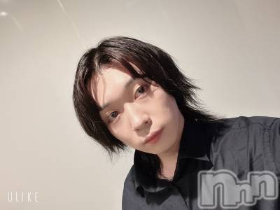 ��Į�ۥ��ȡ��ܡ������С�A151(�����������ݥ���) ������ߺ(20)��5��26���̥�֥����֤⤦�����������