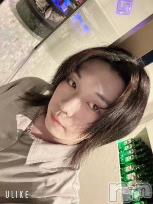 ��Į�ۥ��ȡ��ܡ������С�A151(�����������ݥ���) ������ߺ(20)��6��12���̥�֥����ּ�ǯ�פ��褤����������