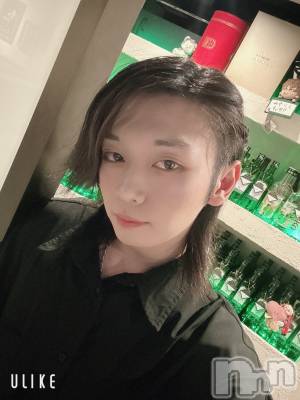 ��Į�ۥ��ȡ��ܡ������С�A151(�����������ݥ���) ������ߺ(20)��6��30���̥�֥������������Ǥ�����