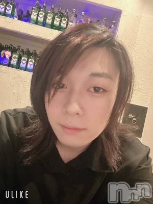 ��Į�ۥ��ȡ��ܡ������С�A151(�����������ݥ���) ������ߺ(20)��7��19���̥�֥������������Ǥ���