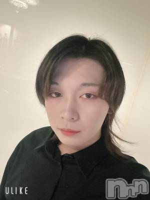 ��Į�ۥ��ȡ��ܡ������С�A151(�����������ݥ���) ������ߺ(20)��11��8���̥�֥����֤��줫�鱫��³������Ȥ���