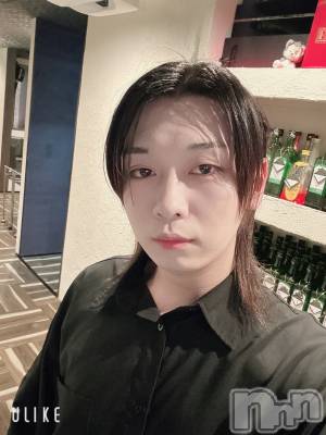 ��Į�ۥ��ȡ��ܡ������С�A151(�����������ݥ���) ������ߺ(20)��12��5���̥�֥����ֺ�����ߤä��͡�