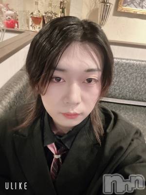 ��Į�ۥ��ȡ��ܡ������С�A151(�����������ݥ���) ������ߺ(20)��1��15���̥�֥����֤դ�����С����ǡ�����