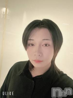 ��Į�ۥ��ȡ��ܡ������С�A151(�����������ݥ���) ������ߺ(20)��2��8���̥�֥����֤椭��С�