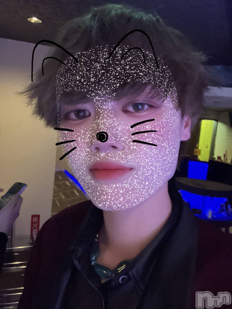 ĮۥȡܡСA151(ݥ) 129̥֥֤ʤʤ