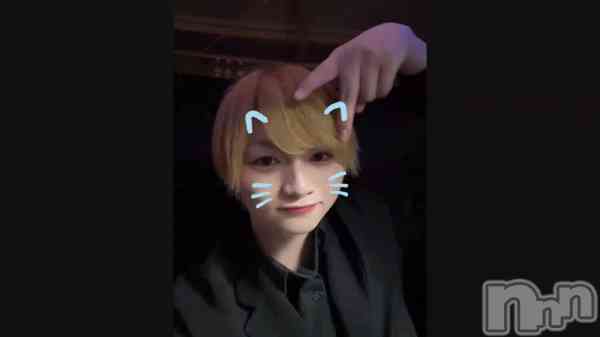 �֤����������������