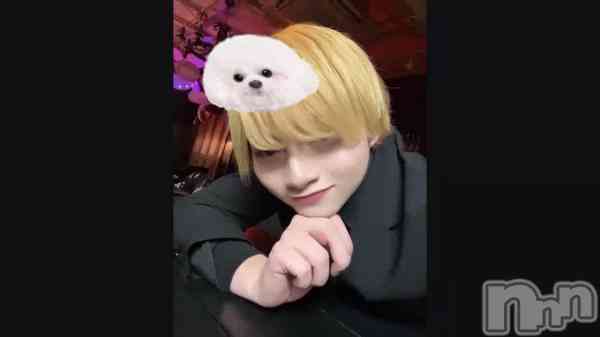 �֤ޤ����ʤ�����