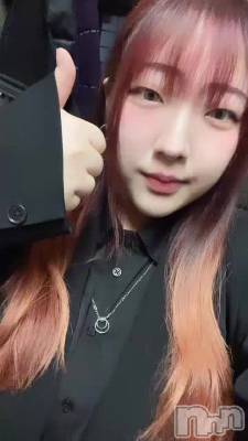 �ʤˤ�����������