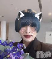 Ƥäڤ åȥС BAR NOIR(СΥ)ҡ