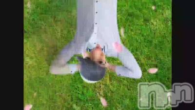 ����ʬ�βֲ�