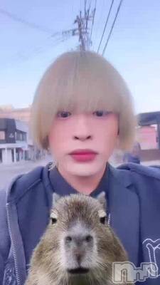 �פ��֤�Τ��ϲ��ҥ⡼�˥�