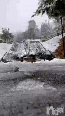 �����Ԥ���