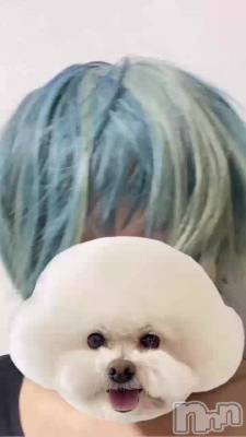 �⡼̵�������ʳ��䤸��ʤ���