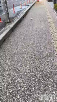 ��(��)�Ĥ��줵��