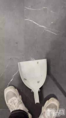 �������ݲ�