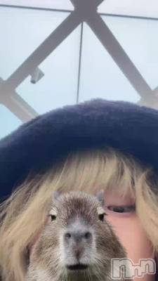 ���ϲ��Ҥ����