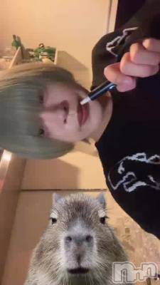 �������ԥХ�