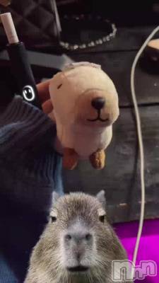 �����ܤ�