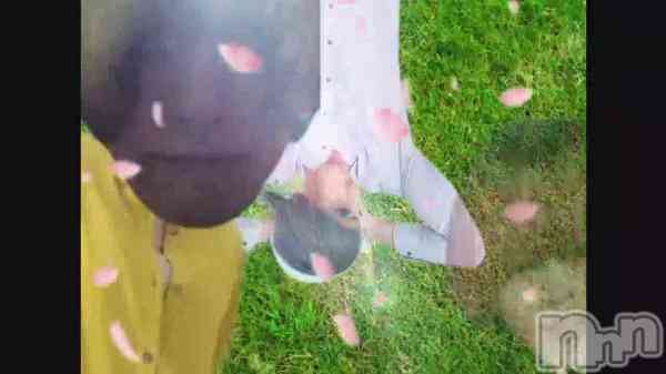 �ָ���ʬ�βֲ���