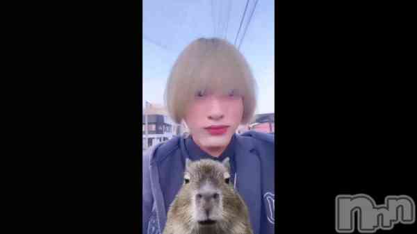 �ֵפ��֤�Τ��ϲ��ҥ⡼�˥󥰡�