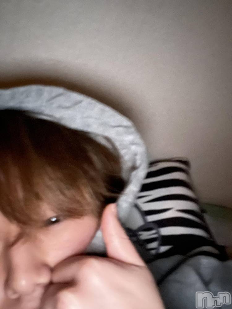 ����ȯ��󥺥���ѥ˥������ɸ�����ѥ˥��� Voclato-�ͤ��-(�ܥ����) ��ޤ�����2��28���̥�֥����֤�����ꡪ��