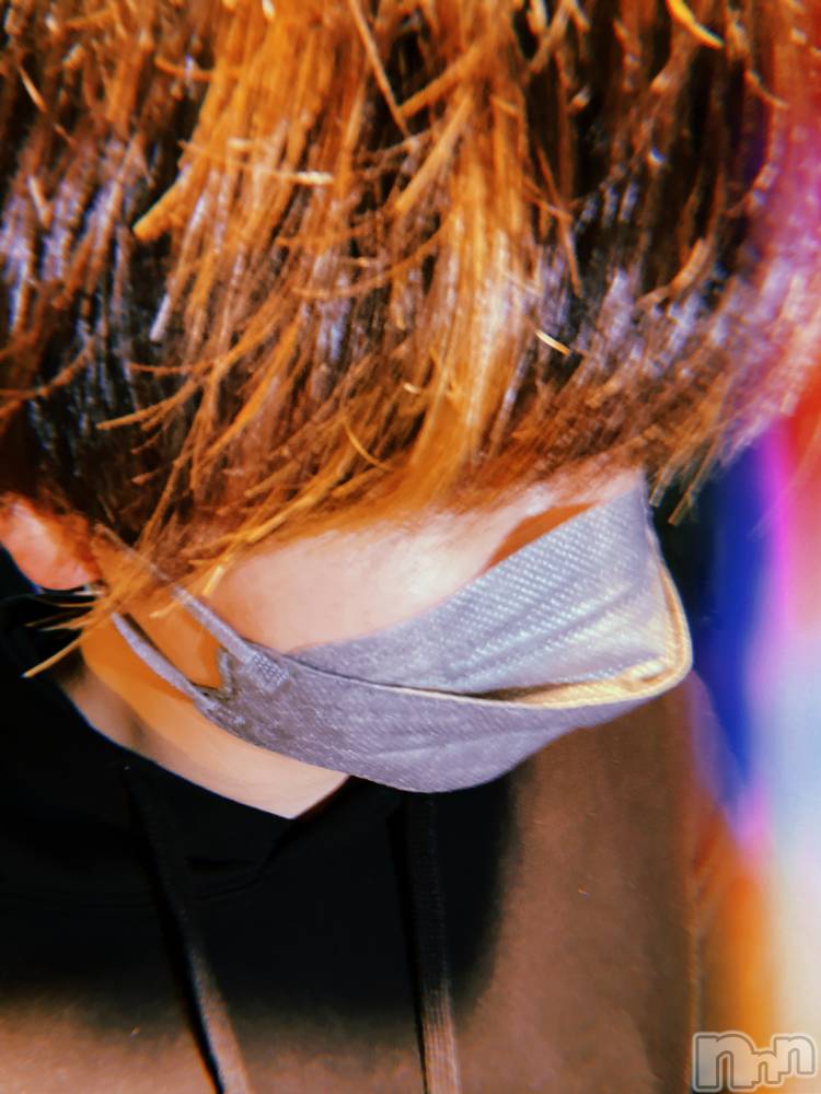 ����ȯ��󥺥���ѥ˥������ɸ�����ѥ˥��� Voclato-�ͤ��-(�ܥ����) ��ޤ�����4��10���̥�֥������������äƤ�����������