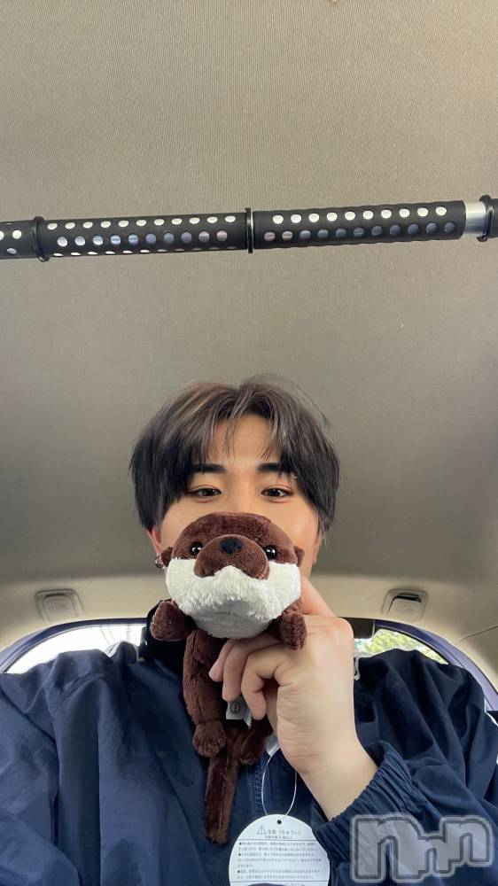 ����ȯ��󥺥���ѥ˥������ɸ�����ѥ˥��� Voclato-�ͤ��-(�ܥ����) ��ޤ�����7��19���̥�֥����֤��ޤäƤޤ��롪��