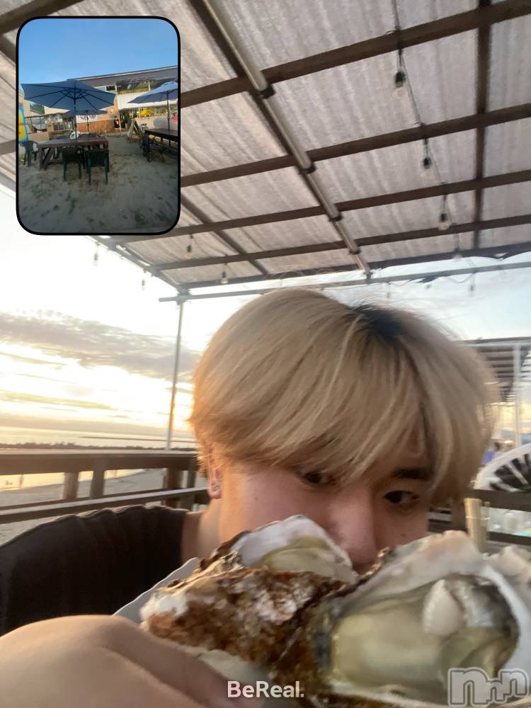 ����ȯ��󥺥���ѥ˥������ɸ�����ѥ˥��� Voclato-�ͤ��-(�ܥ����) ��ޤ�����9��7���̥�֥������ä����ʤ��͡�