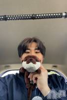 ��ޤ��� ����ȯ��󥺥���ѥ˥��� ����ɸ�����ѥ˥��� Voclato-�ͤ��-(�ܥ����)���ҡ�