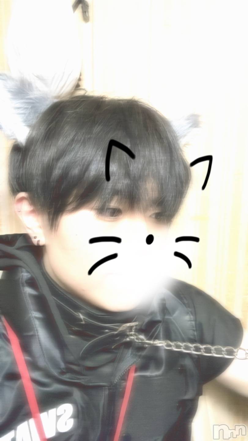 ����ȯ��󥺥���ѥ˥������ɸ�����ѥ˥��� Voclato-�ͤ��-(�ܥ����) ��2025ǯ3��4���̥�֥����֤����^^��