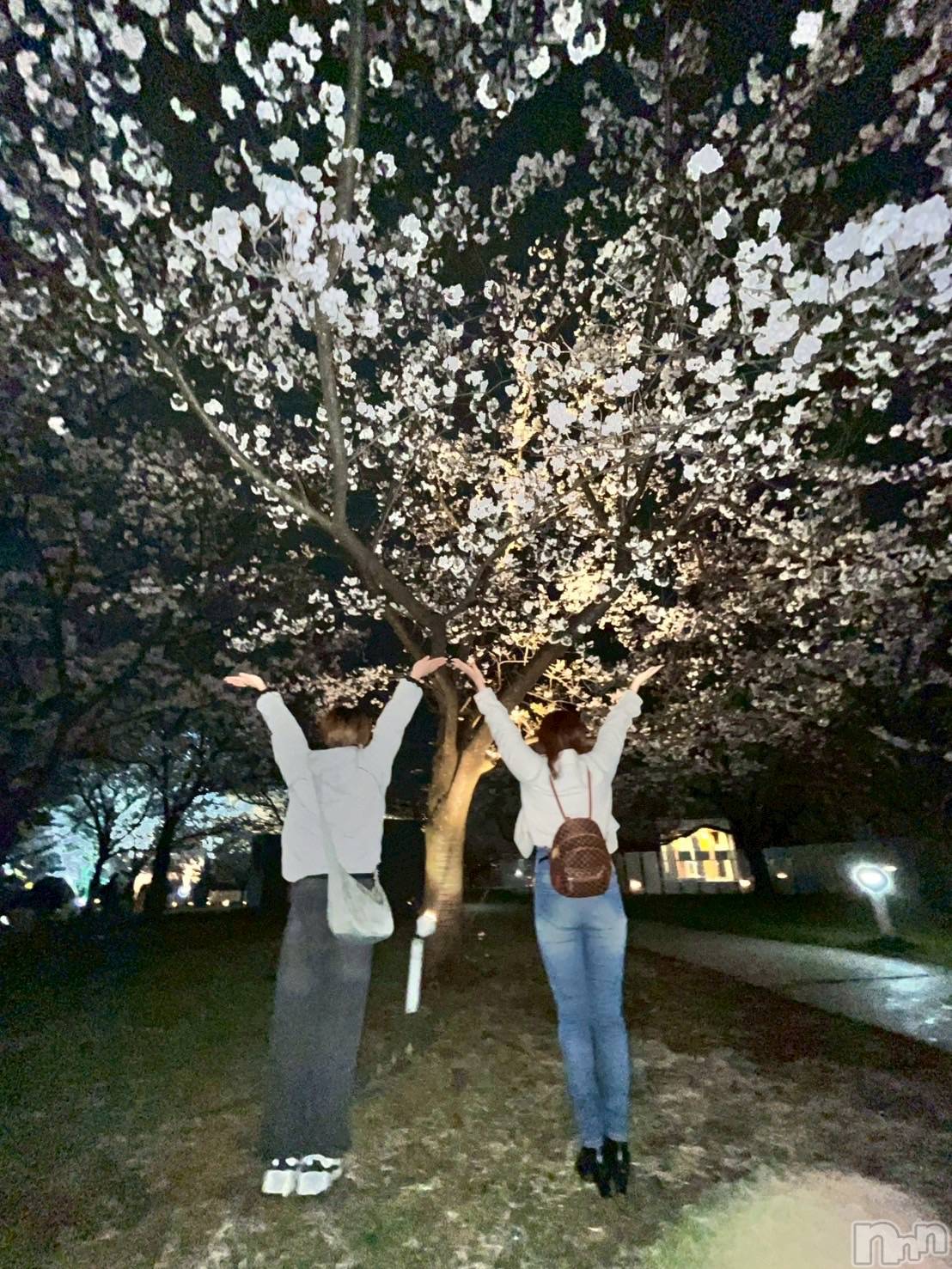 ����ȯ��󥺥���ѥ˥������ɸ�����ѥ˥��� Voclato-�ͤ��-(�ܥ����) ��2025ǯ4��19���̥�֥����ֲ�餬�襤�襤ŹĹ�ȴ���̼�С����ǡ����٥��🎉��