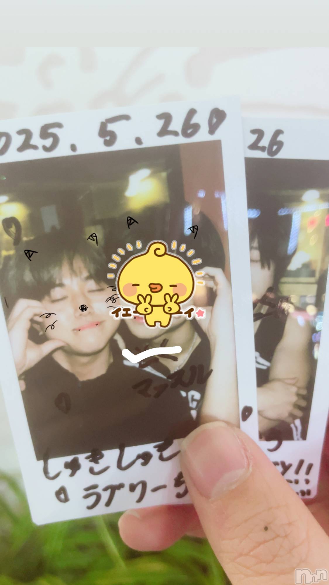 ����ȯ��󥺥���ѥ˥������ɸ�����ѥ˥��� Voclato-�ͤ��-(�ܥ����) ��2025ǯ6��5���̥�֥����ֽ��ơ�������